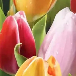  Поздравляем с праздником весны – 8 марта в Нефтеюганске